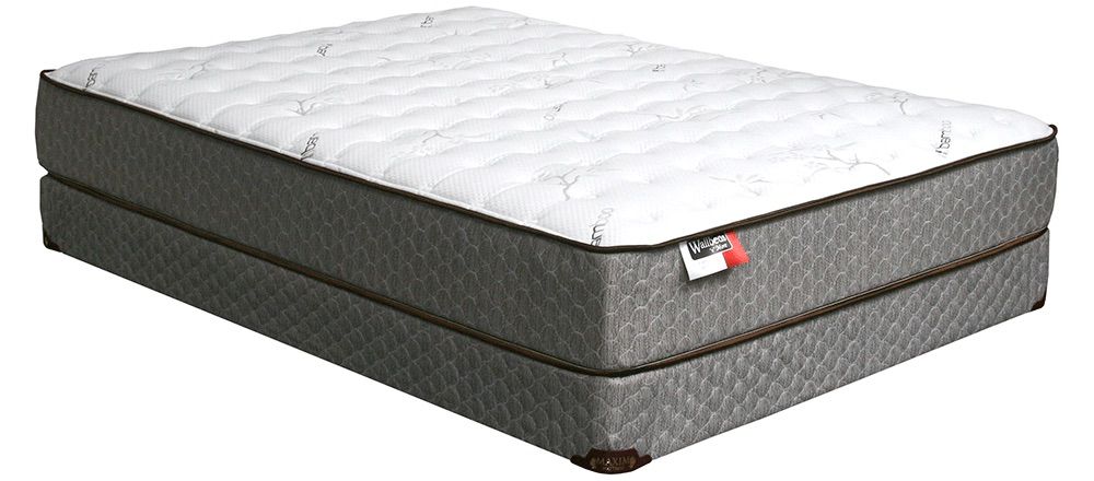 Paradise Mattress FIrm